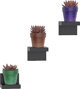 -Pack Small Floating Shelves for Wall, Plastic Small Black Shelf 4 Inch Display Ledges for Small Decor, Mini Shelf for Wall with 2 Types of Installation (Adhesive or Screw)