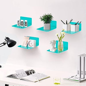4 Pack Small Acrylic Wall Shelf, Display Ledges for Storage & Decoration with 2 Types of Installation (Adhesive or Screw)