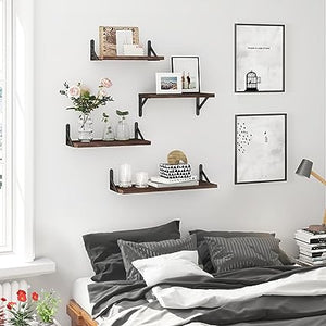 4 Sets of Wall Mounted Shelf for Bathroom Decor, Bedroom, Living Room and Plants (Carbonized Black)