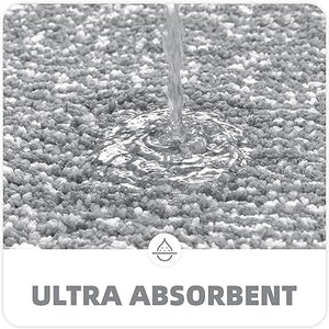 Ultra Soft and Water Absorbent Bath Rug, Bath Carpet, Machine Wash/Dry, for Tub, Shower, and Bath Room(20"x29",Blue and White)