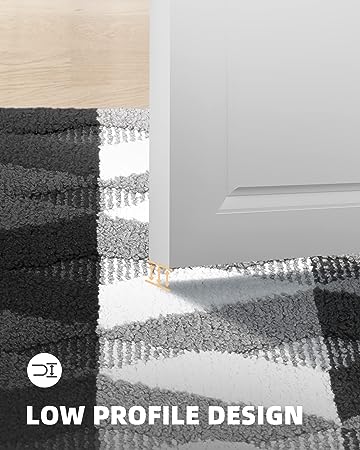 20x32 Super Absorbent Resist Dirt Entryway Rug, Non-Slip TPR Backing –  Modern Rugs and Decor