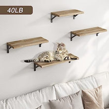 4 Sets of Wall Mounted Shelf for Bathroom Decor, Bedroom, Living Room and Plants (Carbonized Black)