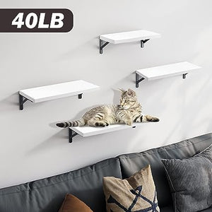 4 Sets of Wall Mounted Shelf for Bathroom Decor, Bedroom, Living Room and Plants (Carbonized Black)