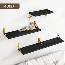 4 Sets of Wall Mounted Shelf for Bathroom Decor, Bedroom, Living Room and Plants (Carbonized Black)