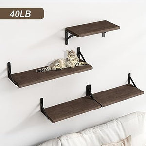 4 Sets of Wall Mounted Shelf for Bathroom Decor, Bedroom, Living Room and Plants (Carbonized Black)