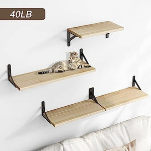 4 Sets of Wall Mounted Shelf for Bathroom Decor, Bedroom, Living Room and Plants (Carbonized Black)