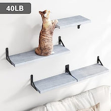 4 Sets of Wall Mounted Shelf for Bathroom Decor, Bedroom, Living Room and Plants (Carbonized Black)