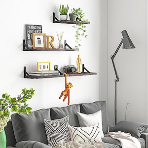 4 Sets of Wall Mounted Shelf for Bathroom Decor, Bedroom, Living Room and Plants (Carbonized Black)