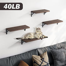 4 Sets of Wall Mounted Shelf for Bathroom Decor, Bedroom, Living Room and Plants (Carbonized Black)