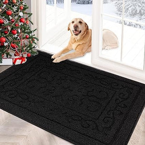 Machine Washable Non-Slip Rubber Backing Entrance Rug, Low Profile Absorbent Dirt Trapper Doormat