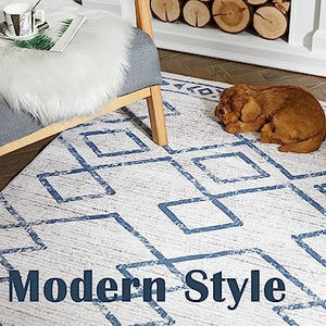 Indoor Mat Geometric Print Floor Cover Thin Carpet Soft Rug