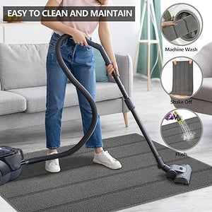 Machine Washable Non-Slip Rubber Backing Entrance Rug, Low Profile Absorbent Dirt Trapper Doormat