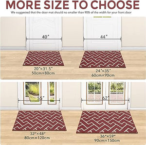 Washable Absorbent Resist Dirt Rubber Backing Non Slip Door Mats, 20"x31.5"(Aqua Haze)