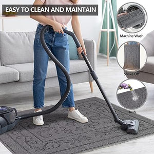 Machine Washable Non-Slip Rubber Backing Entrance Rug, Low Profile Absorbent Dirt Trapper Doormat