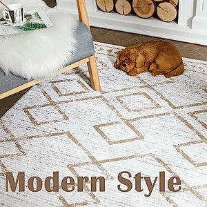 Indoor Mat Geometric Print Floor Cover Thin Carpet Soft Rug