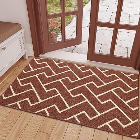 Indoor Doormat Front Back Door Mat Rubber Backing Non Slip Door Mats 20  x31.5