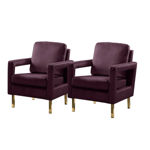 Valentina Modern Upholstered Accent Armchair with Gold Legs Set of 2