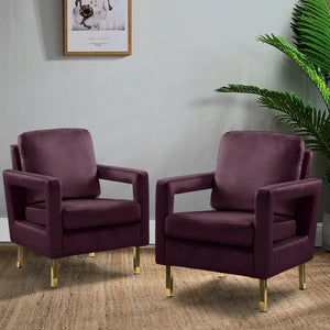 Valentina Modern Upholstered Accent Armchair with Gold Legs Set of 2