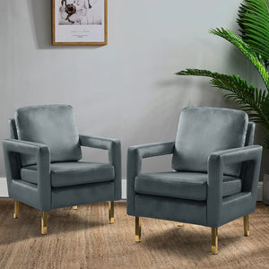 Valentina Modern Upholstered Accent Armchair with Gold Legs Set of 2