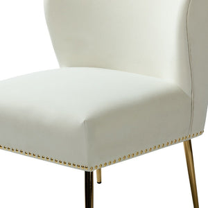 Celtia Modern Upholstered Accent Side Chairs with Nailhead Trim Set of 2