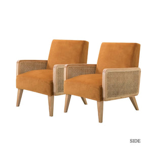 Carmina Modern Bohemian Cane upholstered Accent Armchair with Tapered Legs Set of 2