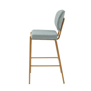 Duardo Modern Bar Stool with Metal Legs Set of 2