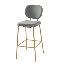 Duardo Modern Bar Stool with Metal Legs Set of 2