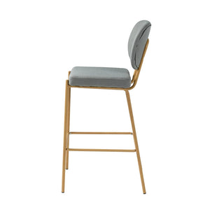 Duardo Modern Bar Stool with Metal Legs Set of 2