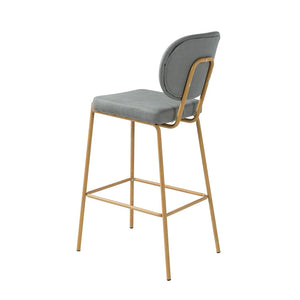 Duardo Modern Bar Stool with Metal Legs Set of 2