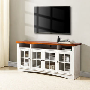 Fiona Modern Storage TV Stand with Adjustable Shelves