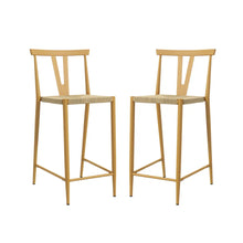 Lyncestius Mid-century Modern Metal Frame Bar Stools with Footrest Set of 2