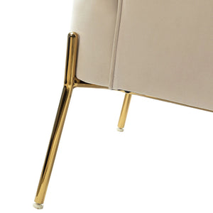 Nora Modern Velvet Accent Chair with Golden Metal Legs Set of 2