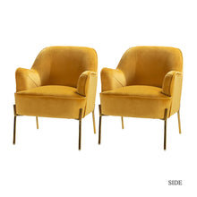 Nora Modern Velvet Accent Chair with Golden Metal Legs Set of 2