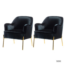 Nora Modern Velvet Accent Chair with Golden Metal Legs Set of 2