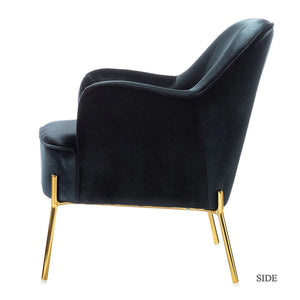 Nora Modern Velvet Accent Chair with Golden Metal Legs Set of 2