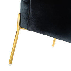 Nora Modern Velvet Accent Chair with Golden Metal Legs Set of 2