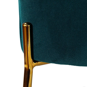 Nora Modern Velvet Accent Chair with Golden Metal Legs Set of 2