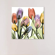 Tulip Scape x-ray I 24" Square Printed Glass Wall Art