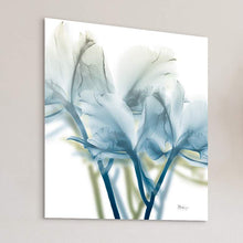 Unfocused Beauty 3 24" Square Glass Graphic Wall Art