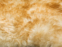 Sheep Skin Collection White  Handmade Rustic Glam Genuine Pelt Extra Thick Accent Soft Area Rug