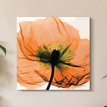 Poppy Orange 24" Square Tempered Glass Graphic Wall Art