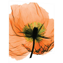 Poppy Orange 24" Square Tempered Glass Graphic Wall Art