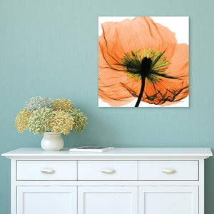 Poppy Orange 24" Square Tempered Glass Graphic Wall Art