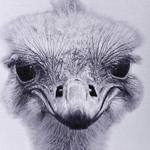 Animal Portraits 36" High Ostrich Canvas Wall Art