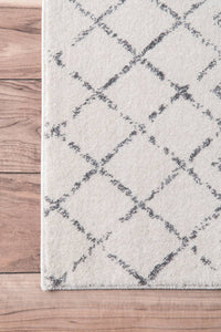 Premium Transitional Vintage Ivory Gray Area Rugs