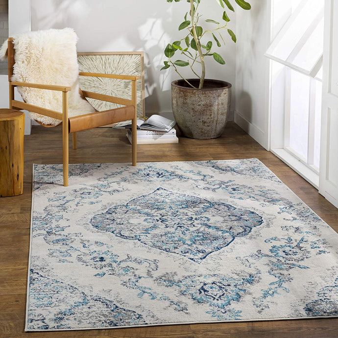 Antioch Traditional Medallion Area Rug Navy/White