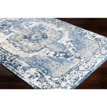 Vintage Distressed Blue Cream Area Rugs