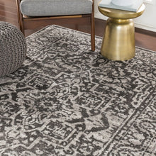 Distressed Persian Pattern Charcoal Light Gray Soft Area Rug