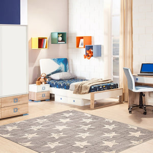 Grey Star Pattern Modern Contemporary Soft Rug