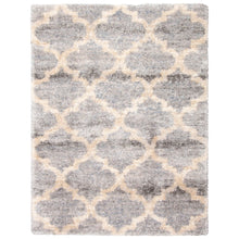 Modern Contemporary Grey Trellis Shag Area Rug